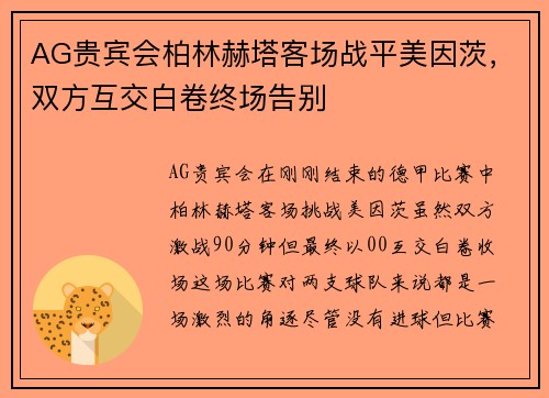 AG贵宾会柏林赫塔客场战平美因茨，双方互交白卷终场告别